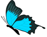 Blue Butterfly Logo