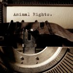 Hippos in Court, Are We Taking Justice Too Far or Not Far Enough?