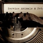 Coping with the Loss of a Pet or Service Animal