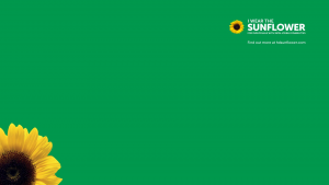https://hdsunflower.com/media/wysiwyg/Sunflower-meeting-background-wearer.png