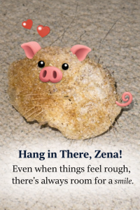 "Patricia the pork scratching" (Piggy). Image Credit: The UK Website Designers Group. Copyright 2026.