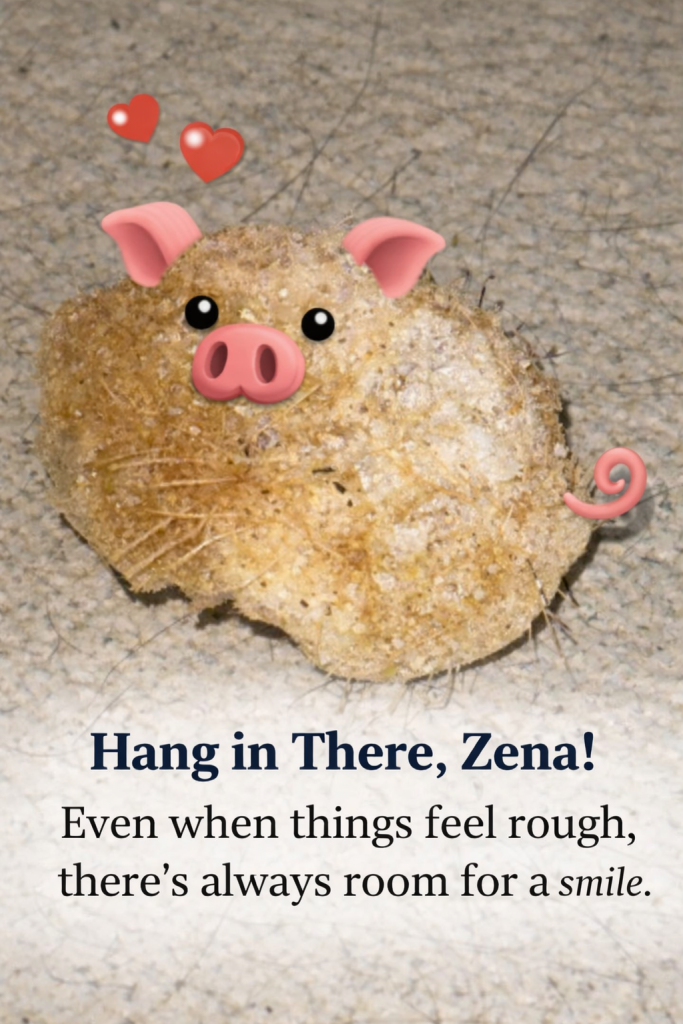 "Patricia the pork scratching" (Piggy). Image Credit: The UK Website Designers Group. Copyright 2026.