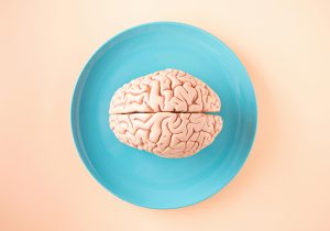 Image Credit: Photo by Amel Uzunovic: https://www.pexels.com/photo/brain-model-on-plate-15410078/