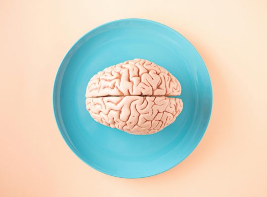 Image Credit: Photo by Amel Uzunovic: https://www.pexels.com/photo/brain-model-on-plate-15410078/