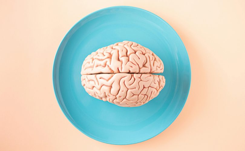 Image Credit: Photo by Amel Uzunovic: https://www.pexels.com/photo/brain-model-on-plate-15410078/