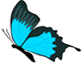 BLUE BUTTERFLY FLAVICON
