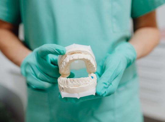 Image Description: Close-up photo of dental castImage Credit: https://www.pexels.com/@karola-g/ - https://kaboompics.com/Image Source: https://www.pexels.com/photo/close-up-photo-of-dental-cast-6627331/
